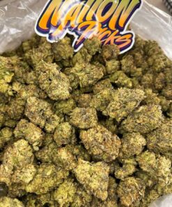 biscotti strain