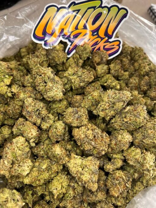 biscotti strain