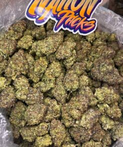 dna cake strain