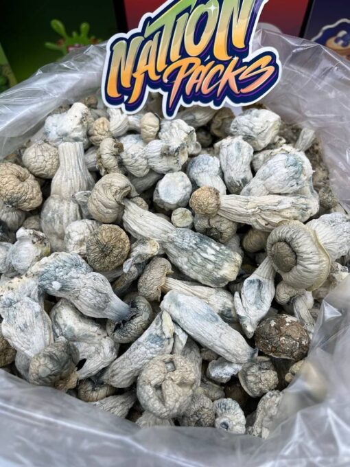 albino penis envy