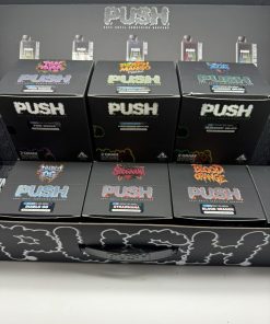 push 2g disposable with screen