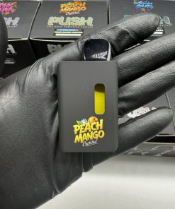 push 2g disposable with screen