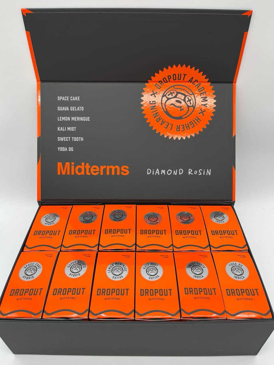 dropout academy disposable